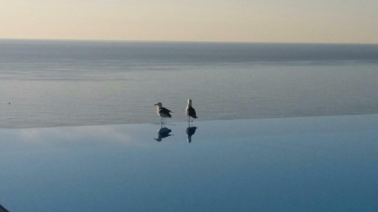Zen Costa Plana * Cap-d'Ail